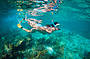 Turquoise Bay Snorkeling, Ningaloo Reef